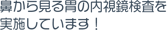 鼻から見る胃の内視鏡検査を実施しています！